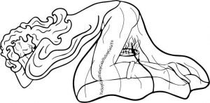 Yo Soy Gaia-Vaporizaciones Vaginales